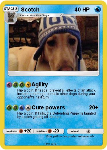 Pokemon Scotch