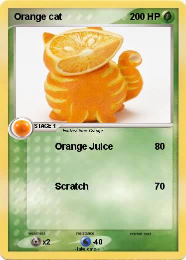 Pokemon Orange cat