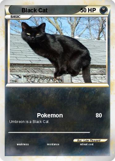 Pokemon Black Cat