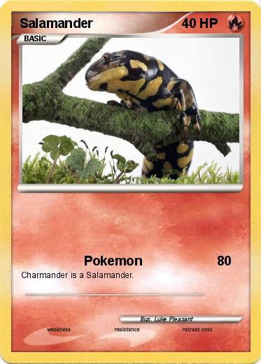 Pokemon Salamander