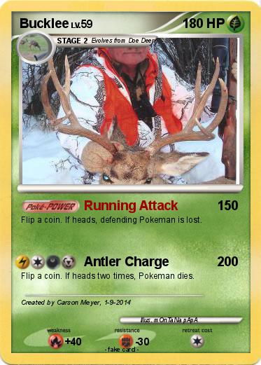 Pokemon Bucklee