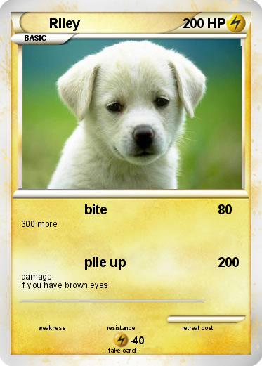 Pokemon Riley