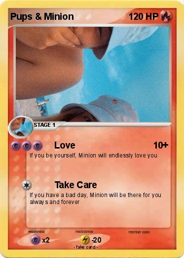 Pokemon Pups & Minion