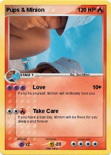 Pokemon Pups & Minion