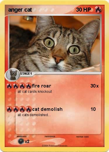 Pokemon anger cat 