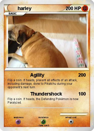 Pokemon harley