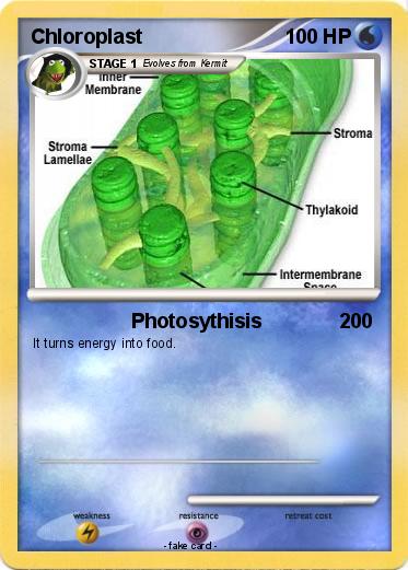 Pokemon Chloroplast