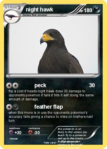 Pokemon night hawk