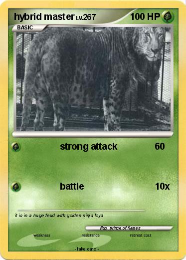Pokemon hybrid master