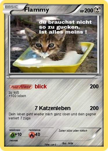 Pokemon Flammy