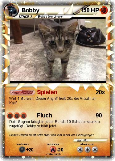 Pokemon Bobby