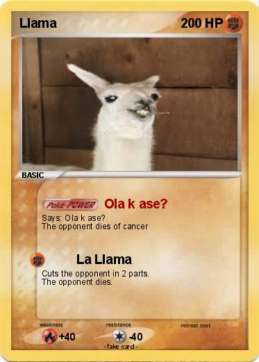Pokemon Llama