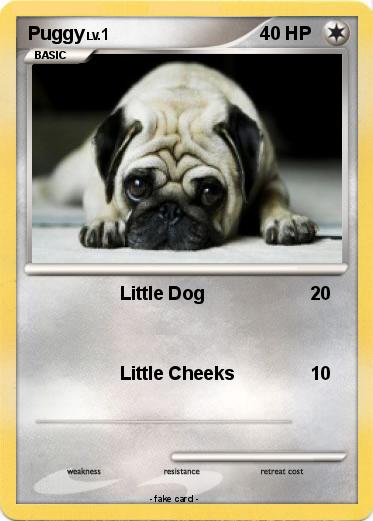 Pokemon Puggy