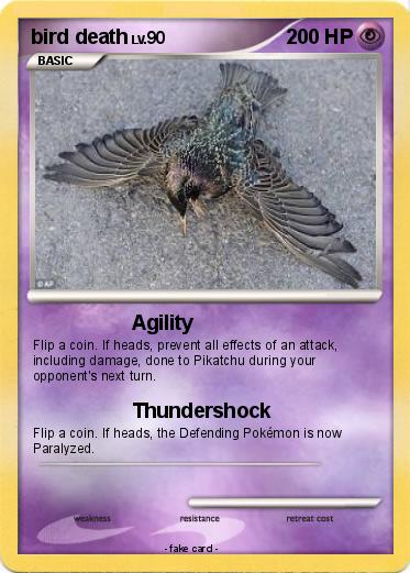 Pokemon bird death