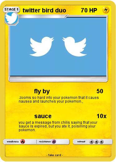 Pokemon twitter bird duo