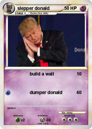 Pokemon slepper donald