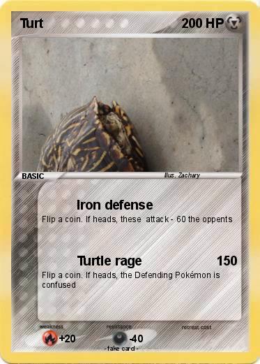 Pokemon Turt