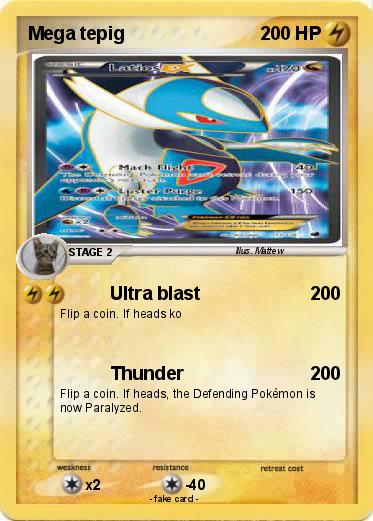 Pokemon Mega tepig