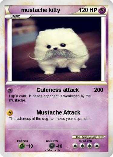Pokemon mustache kitty
