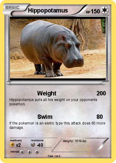 Pokemon Hippopotamus