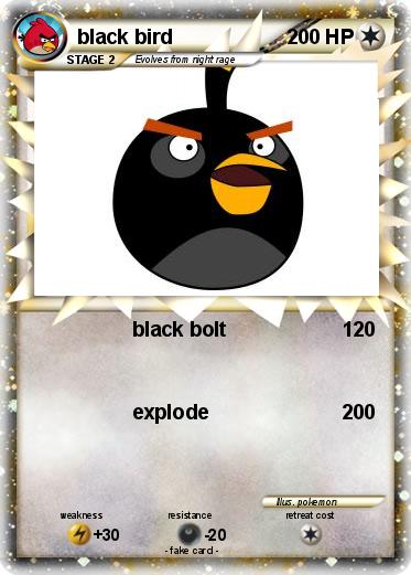Pokemon black bird