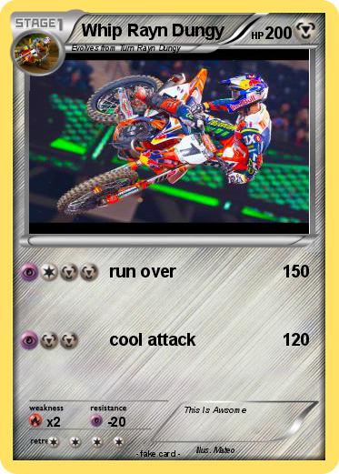 Pokemon Whip Rayn Dungy