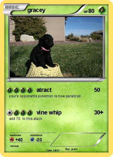 Pokemon gracey