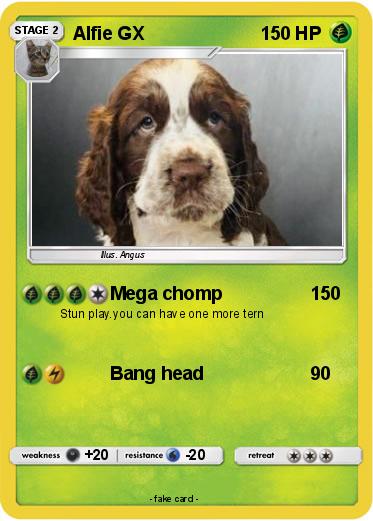 Pokemon Alfie GX