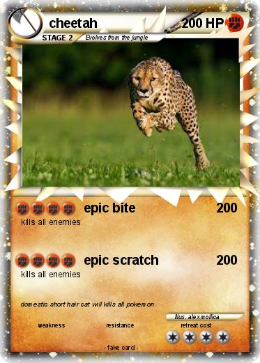 Pokemon cheetah