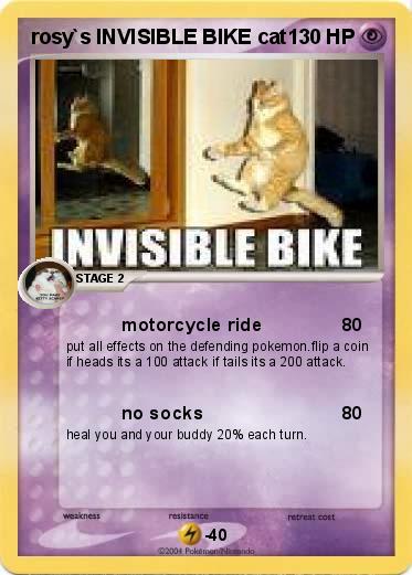 Pokemon rosy`s INVISIBLE BIKE cat