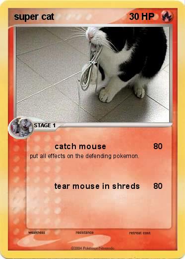 Pokemon super cat