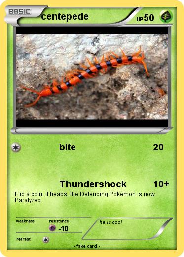 Pokemon centepede