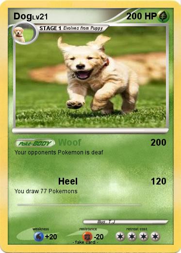 Pokemon Dog