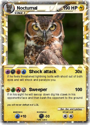 Pokemon Nocturnal