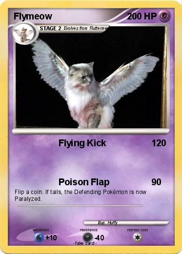 Pokemon Flymeow