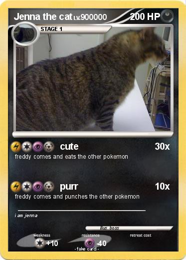 Pokemon Jenna the cat
