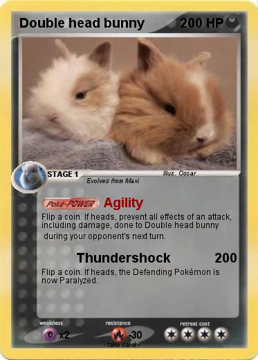 Pokemon Double head bunny