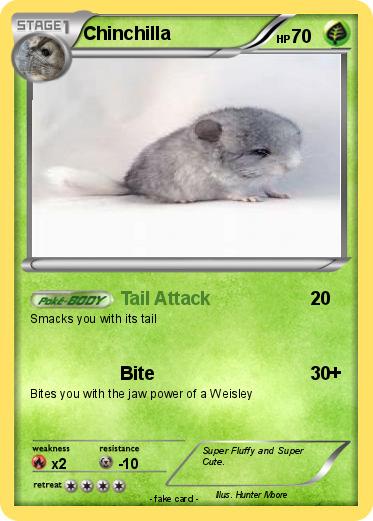 Pokemon Chinchilla