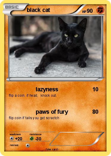Pokemon black cat