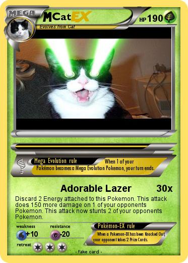 Pokemon Cat