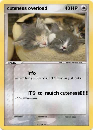 Pokemon cuteness overload