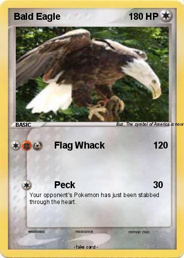 Pokemon Bald Eagle
