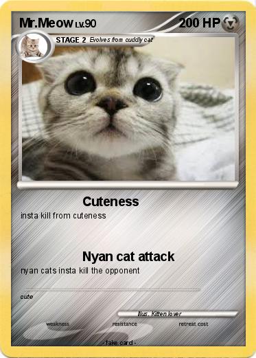 Pokemon Mr.Meow