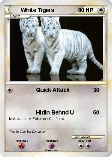 Pokemon White Tigers