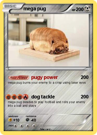 Pokemon mega pug