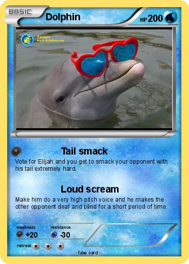 Pokemon Dolphin