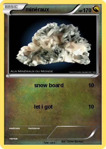 Pokemon minéraux