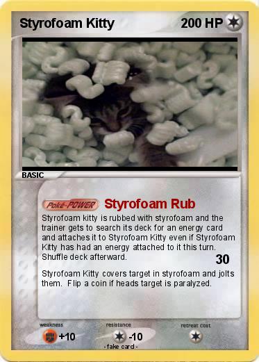 Pokemon Styrofoam Kitty
