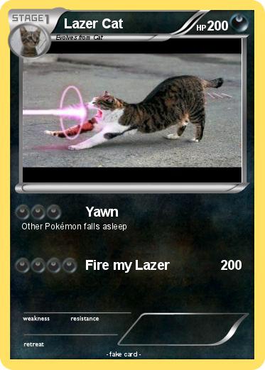 Pokemon Lazer Cat