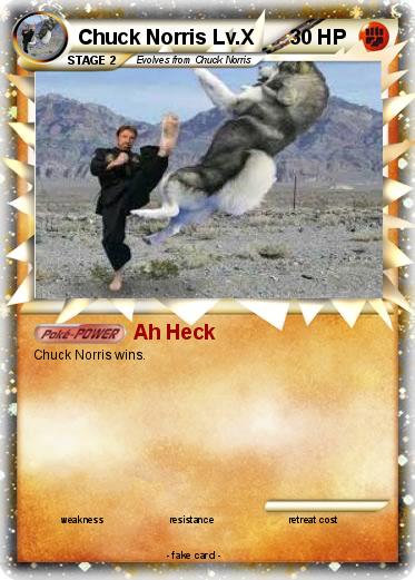 Pokemon Chuck Norris Lv.X